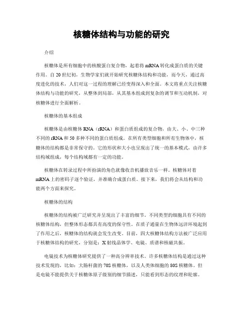 核糖体结构与功能的研究
