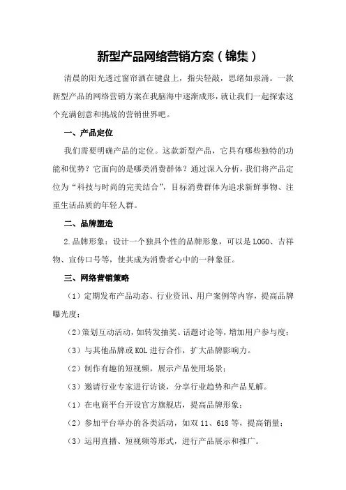 新型产品网络营销方案