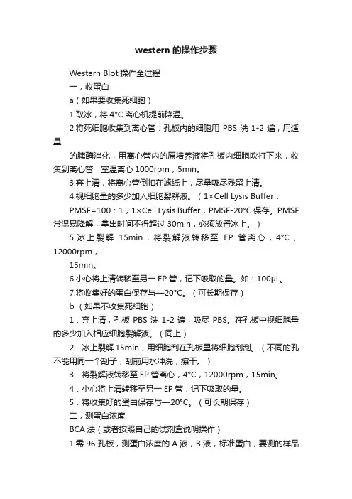 western的操作步骤