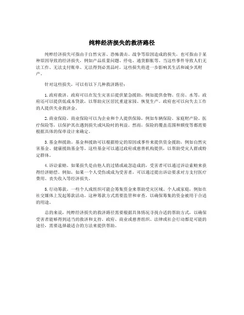 纯粹经济损失的救济路径