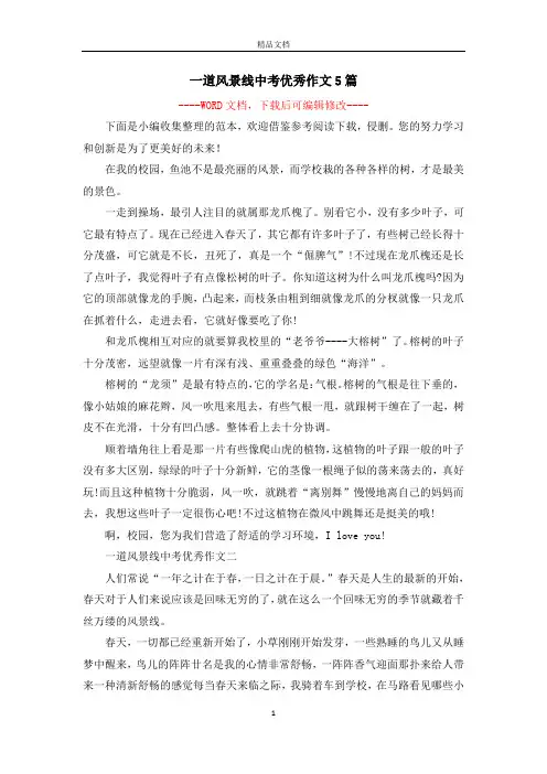 一道风景线中考优秀作文5篇