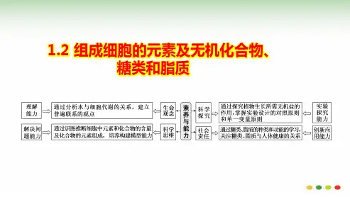 1-2 组成细胞的元素及无机化合物、糖类和脂质