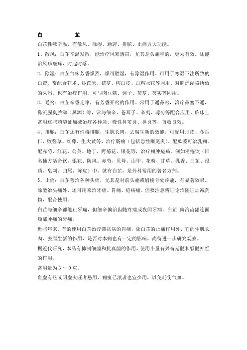 第二讲白芷