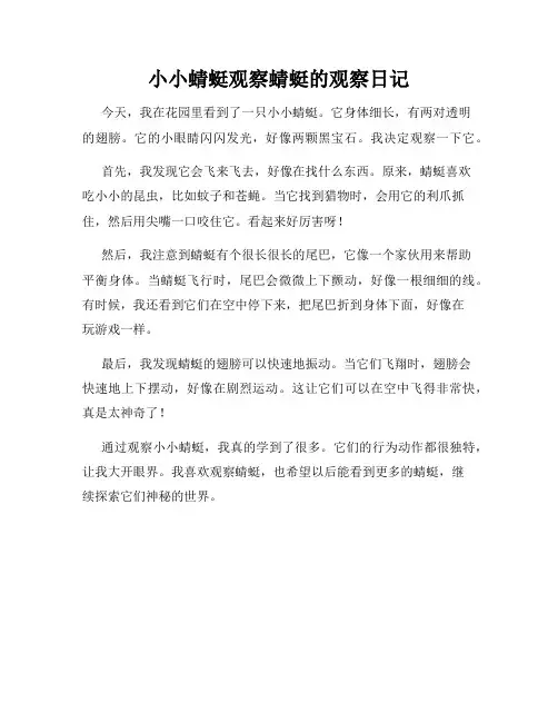 小学三年级作文小小蜻蜓观察蜻蜓的观察日记