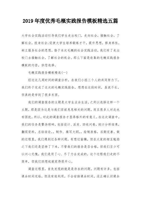 2019年度优秀毛概实践报告模板精选五篇