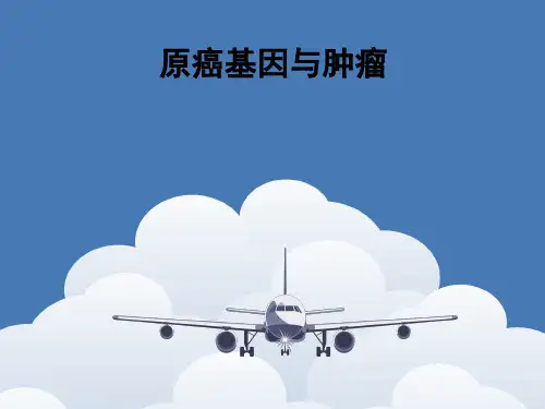 原癌基因与肿瘤ppt课件