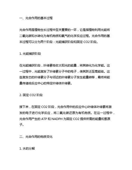 光合作用的物质变化和能量变化