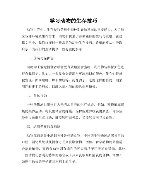 学习动物的生存技巧