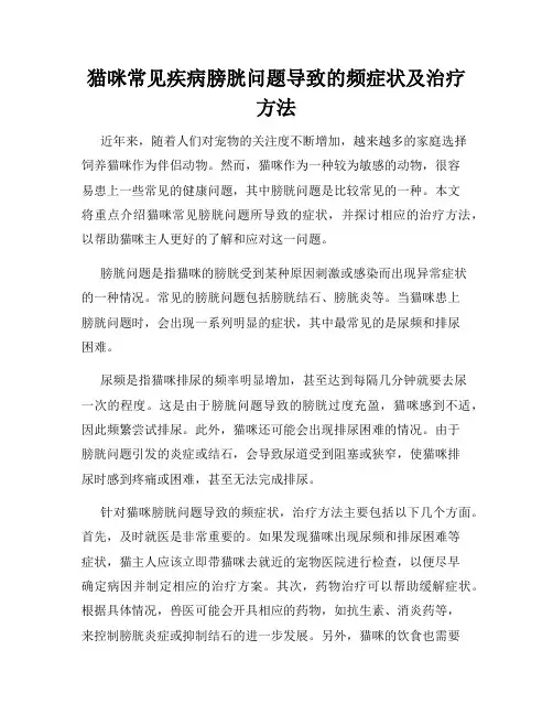 猫咪常见疾病膀胱问题导致的频症状及治疗方法
