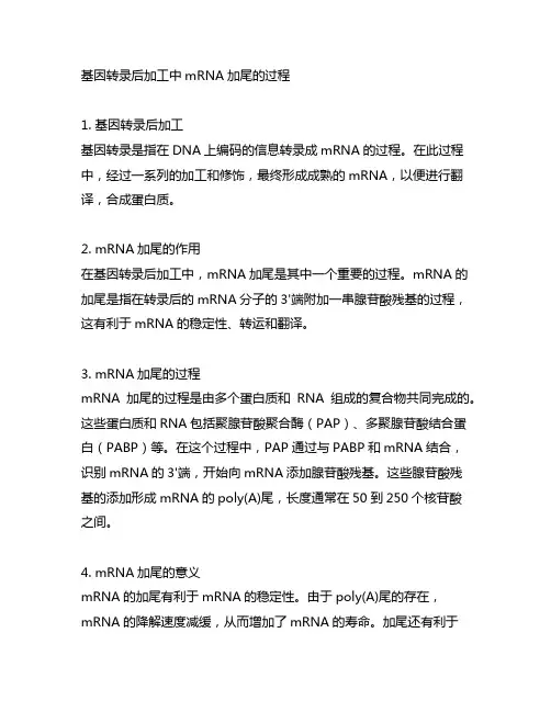 简述基因转录后加工中mrna加尾的过程
