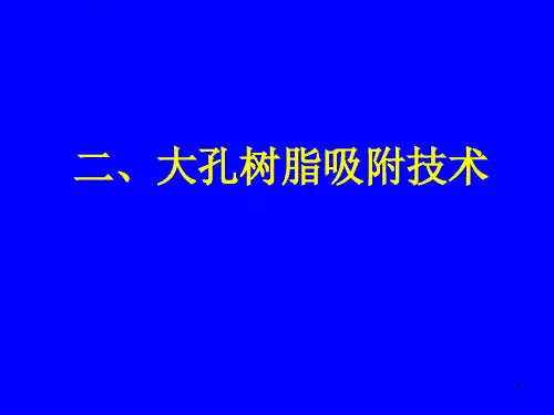 2. 大孔树脂吸附技术