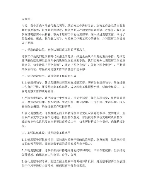 县领导巡察发言稿范文