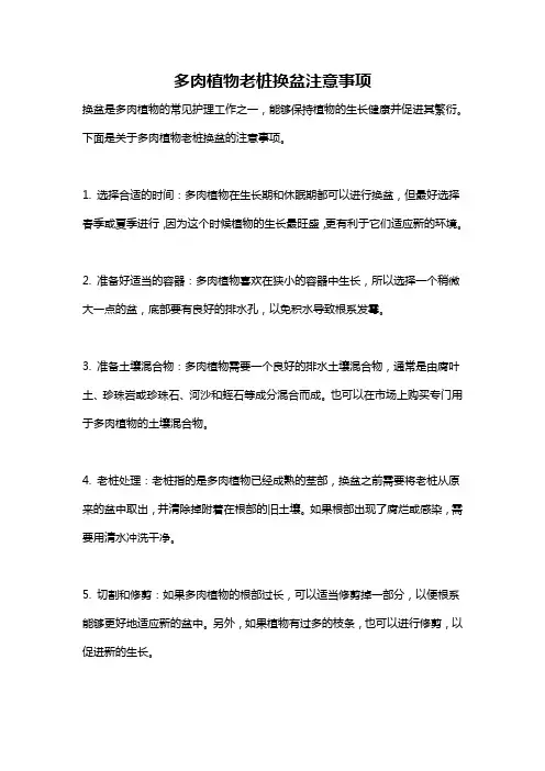 多肉植物老桩换盆注意事项