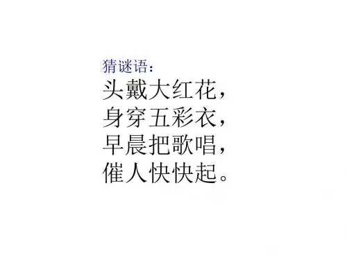 祖国真大我们的大中国课件品德与社会教科版四年级下册