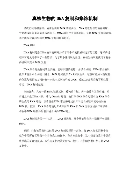 真核生物的DNA复制和修饰机制