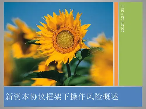 新资本协议框架下的操作风险概述