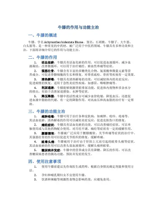 牛膝的作用与功能主治