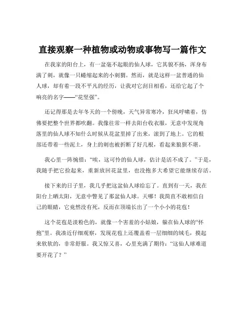 直接观察一种植物或动物或事物写一篇作文