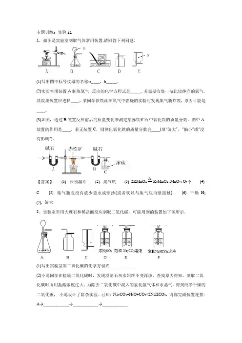 九年级化学中考复习：专题训练：实验题21