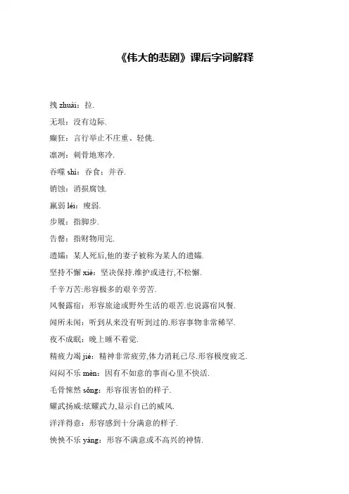 《伟大的悲剧》课后字词解释