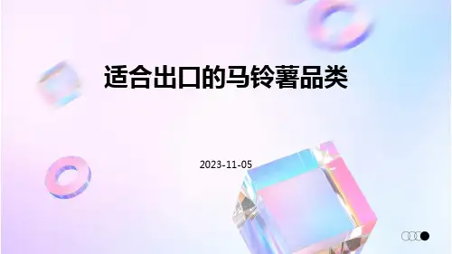 适合出口的马铃薯品类