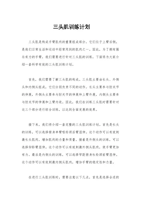 三头肌训练计划