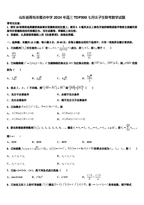 山东省青岛市重点中学2024年高三TOP300七月尖子生联考数学试题