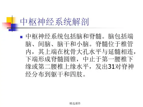 《中枢神经系统解剖》