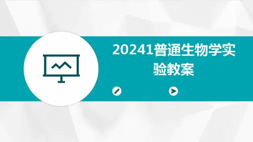 20241普通生物学实验教案