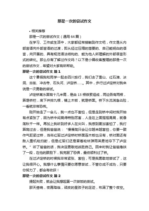 那是一次的尝试作文