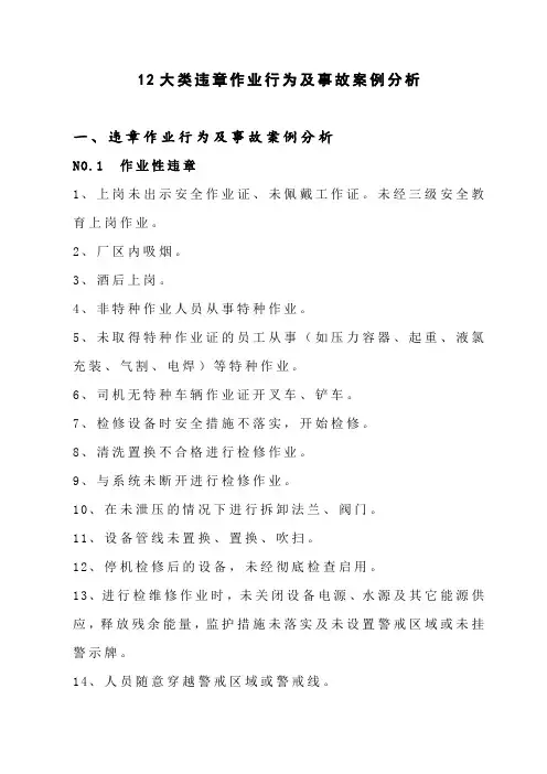 12大类违章作业行为及事故案例分析