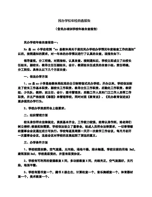 民办学校自检自查报告