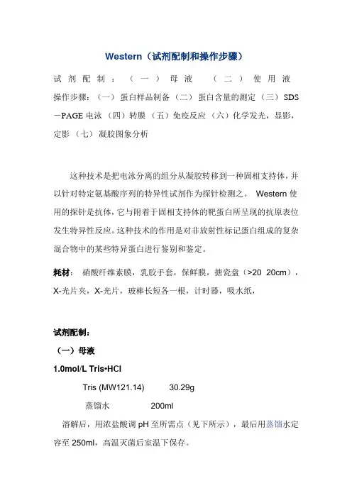 Western(试剂配制和操作步骤)