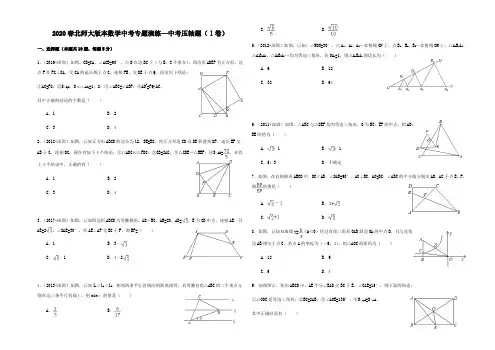 2020春北师大版本数学中考专题演练—中考压轴题(Ⅰ卷)