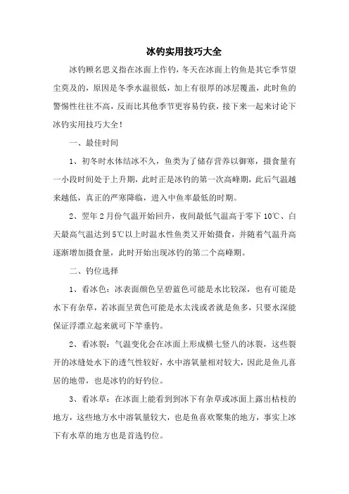 钓鱼技巧：冰钓实用技巧大全