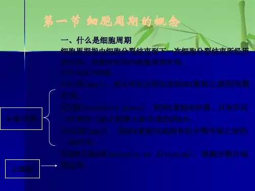  细胞增殖及其调控(共109张PPT)