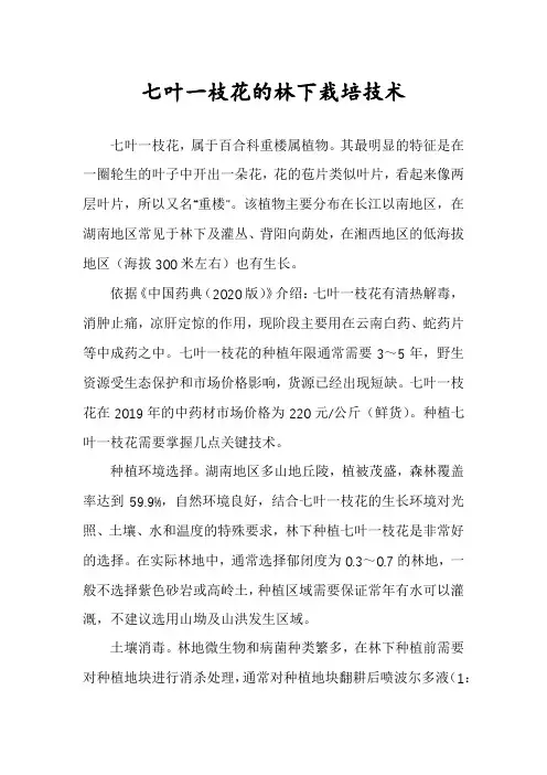 七叶一枝花的林下栽培技术
