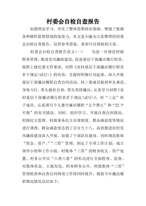 村委会自检自查报告