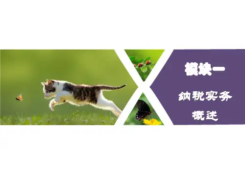 模块一  纳税实务概述  《纳税实务》PPT课件