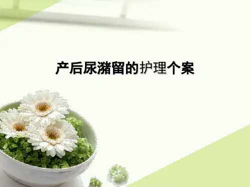 产后尿潴留的护理个案