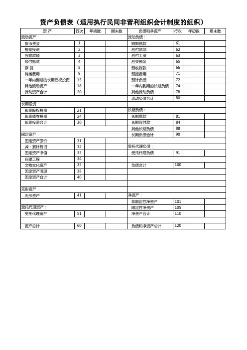 民间非营利组织的财务报表