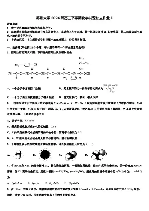 苏州大学2024届高三下学期化学试题独立作业1含解析