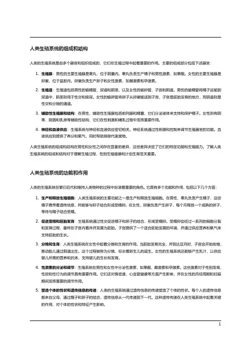 人类的生殖系统