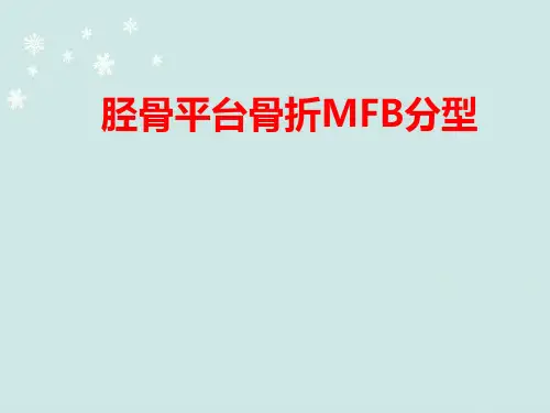 胫骨平台骨折MFB分型