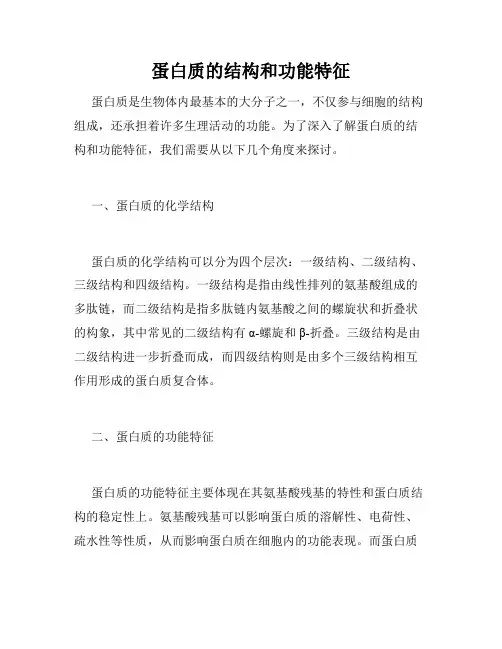 蛋白质的结构和功能特征