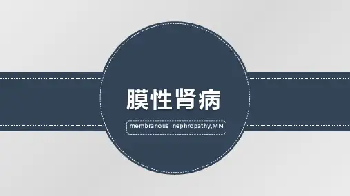 膜性肾病--精品医学课件