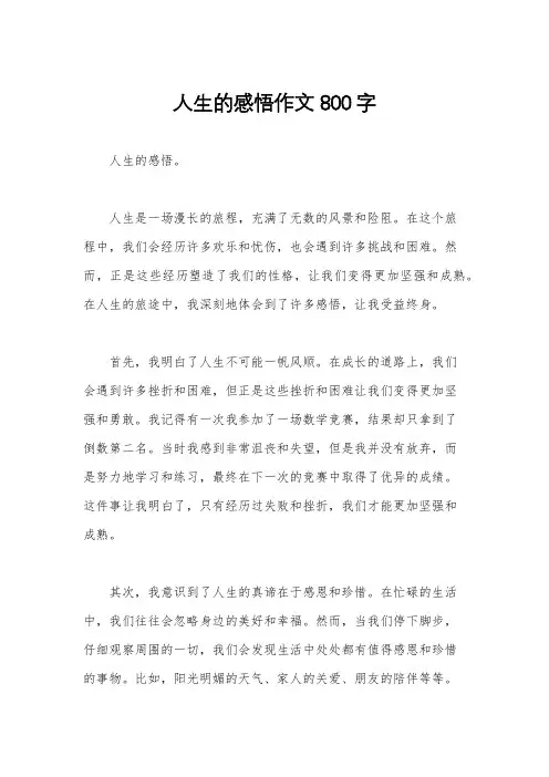 人生的感悟作文800字