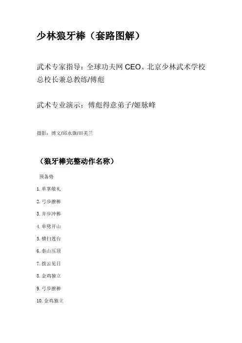 少林狼牙棒(套路图解)
