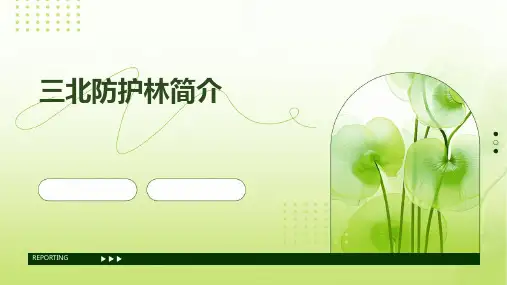 三北防护林简介