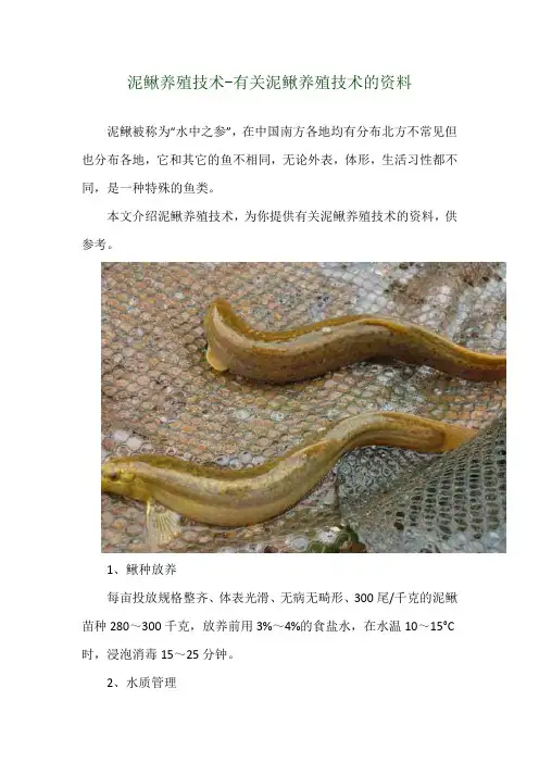 泥鳅养殖技术-有关泥鳅养殖技术的资料